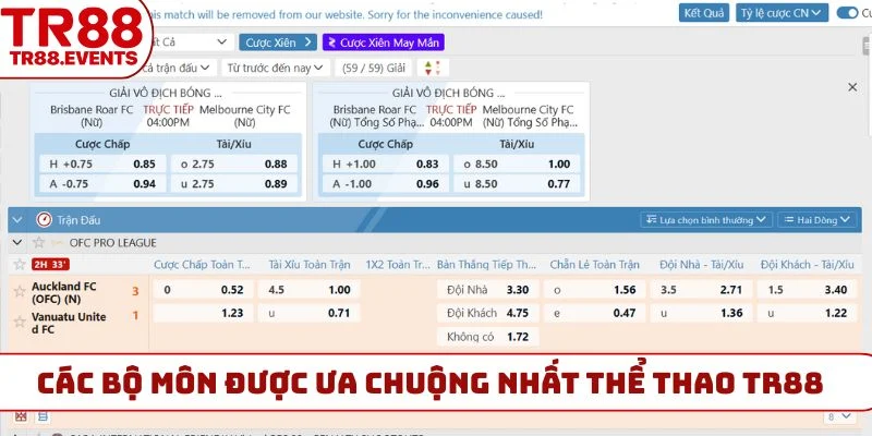 Các bộ môn được ưa chuộng nhất thể thao TR88