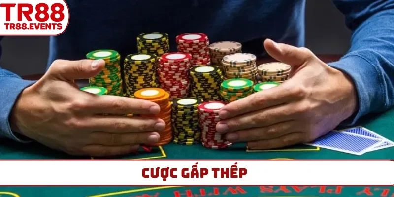 cược gấp thếp